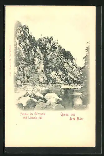 AK Okertal /Harz, Partie an den Löwenklippen