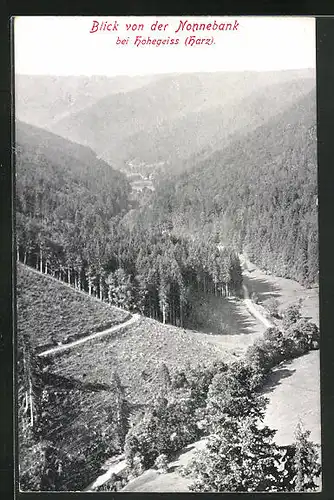 AK Hohegeiss /Harz, Blick von der Nonnebank