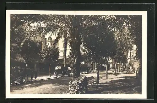 AK Nervi, Viale delle Palme
