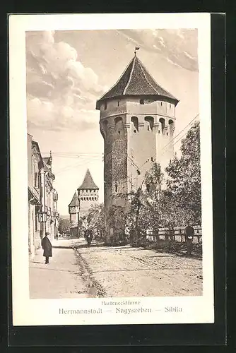 AK Hermannstadt, Strasse entlang der Hartenecktürme