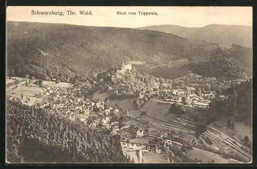 AK Schwarzburg / Thür. Wald, Gesamtansicht vom Trippstein aus gesehen