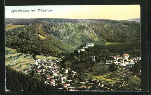 AK Schwarzburg / Thür. Wald, Ortsansicht, Blick vom Trippstein