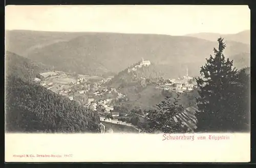 AK Schwarzburg / Thür. Wald, Gesamtansicht, Blick vom Trippstein