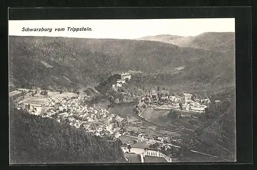 AK Schwarzburg / Thür. Wald, Ortsansicht aus der Vogelschau, Blick vom Trippstein