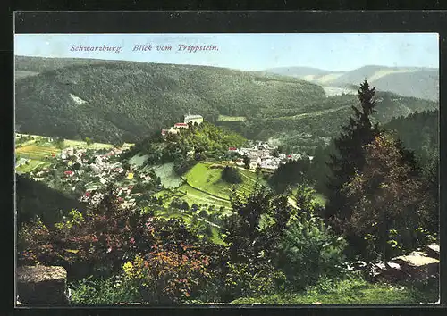 AK Schwarzburg / Thür. Wald, Blick vom Trippstein