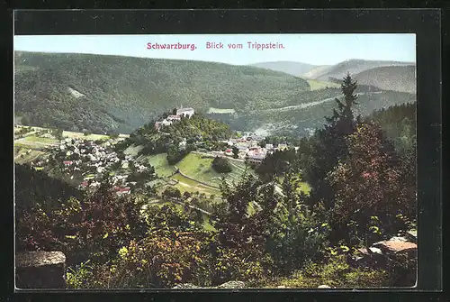 AK Schwarzburg / Thür. Wald, Gesamtansicht, Blick vom Trippstein
