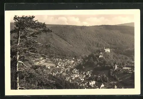 AK Schwarzburg i. Thür., Blick vom Trippstein