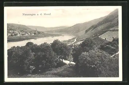 AK Neumagen / Mosel, Ortsansicht aus der Vogelschau