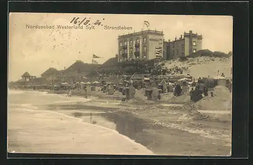 AK Westerland / Sylt, Strandleben