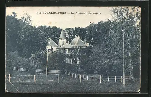 AK Sainte-Eulalie-d`Ans, Le Chateau de Belsis