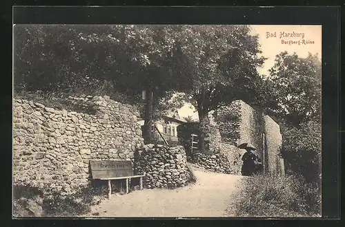 AK Bad Harzburg, Burgberg-Ruine