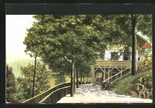 AK Bad Harzburg, Sennhütte mit Burgberg