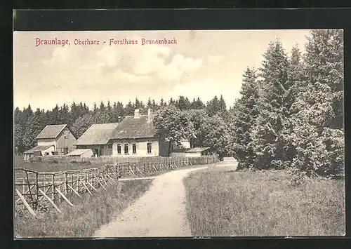 AK Braunlage / Harz, Forsthaus Brunnenbach am Waldrand