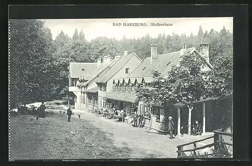 AK Bad Harzburg, Gasthaus Molkenhaus