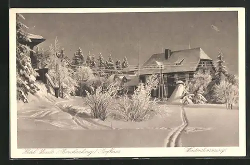 AK Torfhaus / Oberharz, Hotel Wendt im Winter