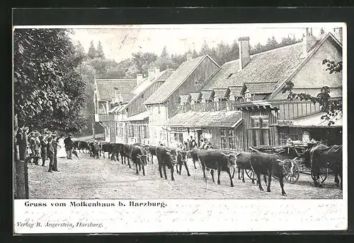 AK Bad Harzburg, am Gasthaus Molkenhaus