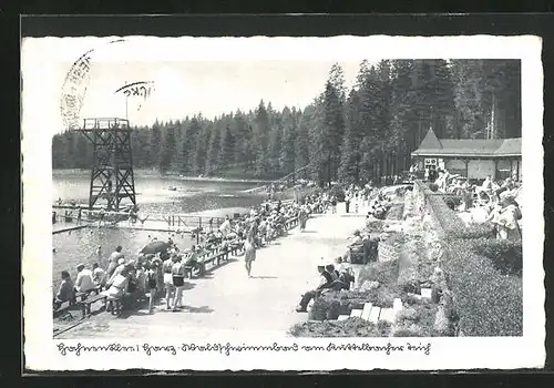 AK Hahnenklee /Harz, Waldschwimmbad am Kuttelbacher Teich