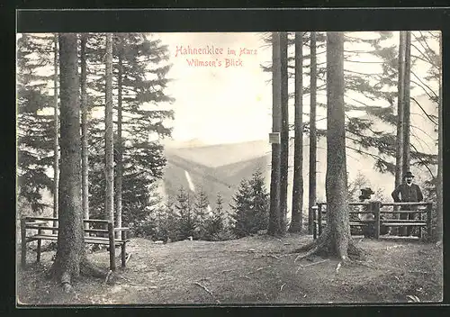 AK Hahnenklee / Harz, Wilmsen's Blick