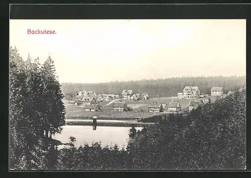 AK Hahnenklee-Bockswiese / Harz, Panorama des Ortes