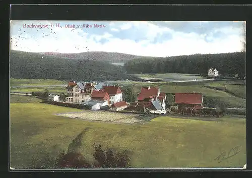 AK Bockswiese / Harz, Blick von der Villa Maria