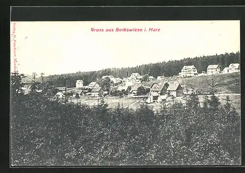 AK Bockswiese / Harz, Blick von einer Anhöhe auf den Ort