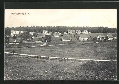 AK Bockswiese / Harz, Gebäude am Ortsrand