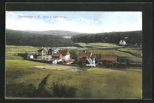 AK Bockswiese / Harz, Aussicht von der Villa Maria