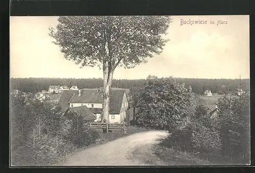 AK Bockswiese / Harz, Gehöft am Ortsrand