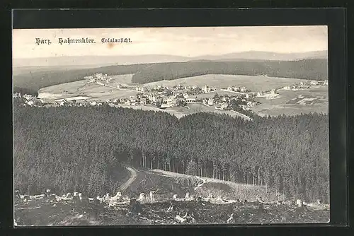 AK Hahnenklee / Harz, Totalansicht