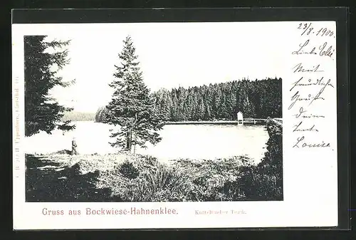 AK Bockwiese-Hahnenklee, Blick über den Kuttelbacher Teich