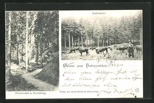 AK Hahnenklee / Harz, Promenade am Bocksberg, Kuhherde