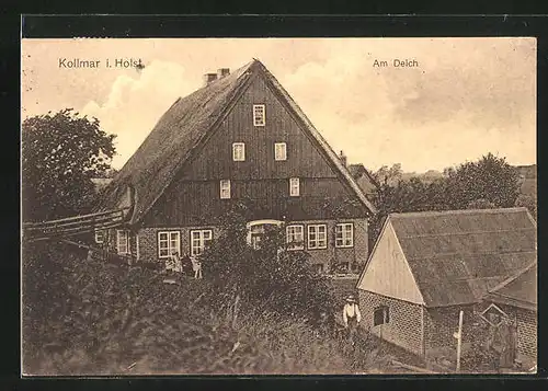 AK Kollmar i. Holst., altes Bauernhaus am Deich