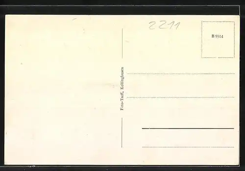 AK Hennstedt bei Kellinghusen, Hornemann's Pensionat Seelust