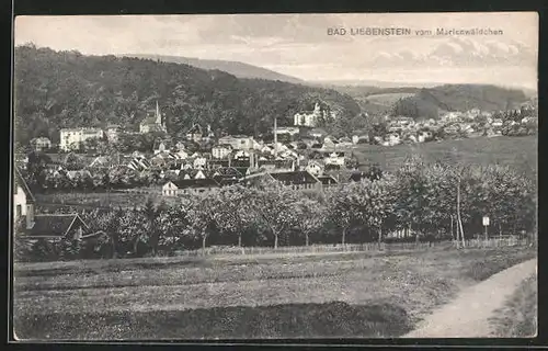 AK Bad Liebenstein, Gesamtansicht vom Marienwäldchen aus gesehen