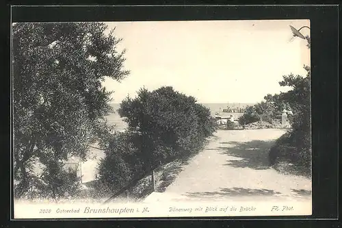 AK Brunshaupten i. M., Dünenweg mit Blick auf die Brücke