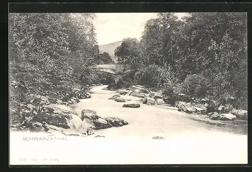 AK Schwarzatal / Thür. Wald, Flusspartie mit Brücke