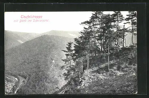 AK Schwarzatal / Thür. Wald, Teufelstreppe