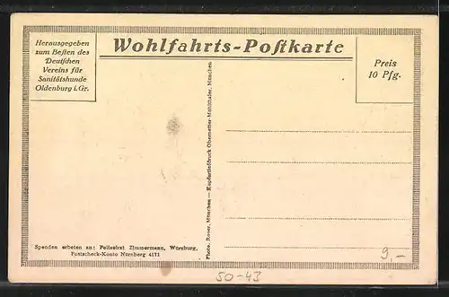 AK Sanitätshund Ago hat einen Verwundeten vor dem Erfrieren gerettet