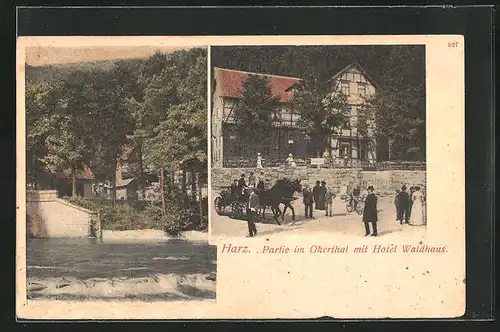 AK Okertal, Gäste mit Kutsche am Hotel Waldhaus