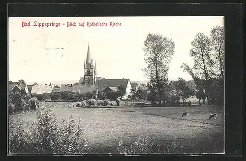 AK Bad Lippspringe, Blick auf Katholische Kirche