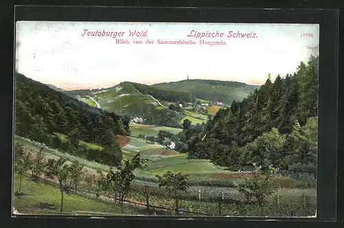 AK Hangstein / Teutoburger Wald, Panorama