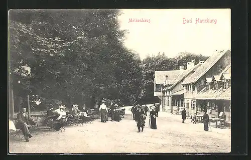 AK Bad Harzburg, Besucher vor dem Molkenhaus