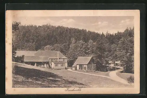 AK Eisenberg / Thüringen, Gasthaus Troschmühle