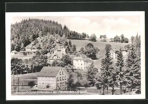 AK Dittersbach bei Neuhausen, Dorfansicht