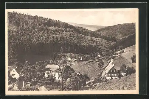 AK Seiffen / Erzgebirge, Dorfansicht mit Seiffner-Grund