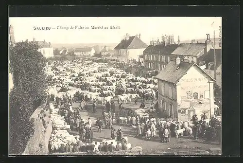 AK Saulieu, Champ de Foire ou Marche au Betail