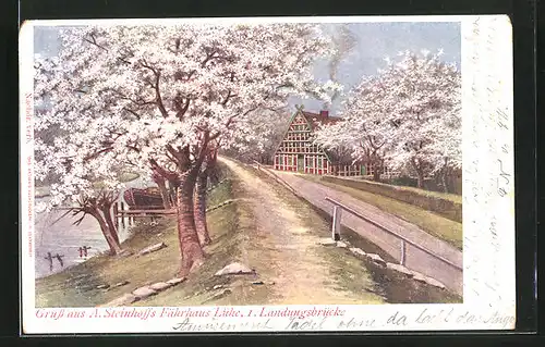 AK Lühe, A. Steinhoffs Gasthaus Fährhaus mit Landungsbrücke