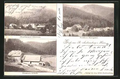 AK St. Andreasberg / Harz, Oberförsterei Iderhaus, Forsthaus-Schlucht, Forsthaus Königshof