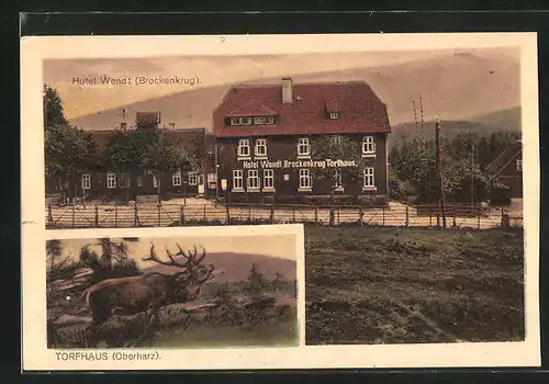 AK Torfhaus / Oberharz, Hotel Wendt - Brockenkrug und brüllender Hirsch