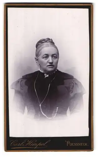 Fotografie Carl Hempel, Pössneck, Oberer Graben 5, Portrait Edeldame mit hochgebundener Flecht-Frisur